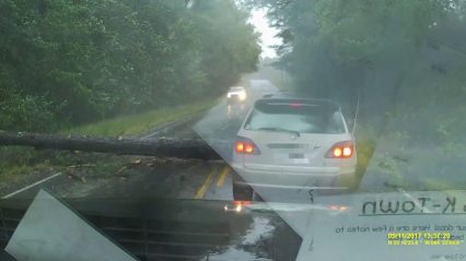 Tree Nearly Lands on Lexus SUV During Hurricane Irma… SUV Does Huge Stoppie