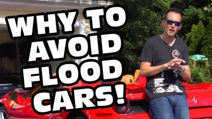 YouTuber Explains How To Avoid Buying Flood Cars After Hurricane Irma and Harvey!