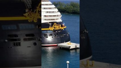 Disney Cruise Ship Slams Into Dock… Captain Goofy May Be Looking For a New Job