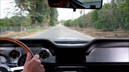 Crazy Old Man Rips on His 1967 Fastback Mustang Like a Boss