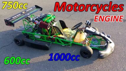 Go-Karts with Motorcycle Engines… Only For Those Who Want To Go Fast!