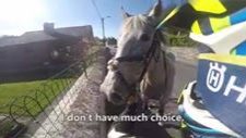 Motorcyclist crashes his motorbike just to save these runaway horses…