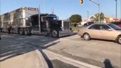 Protestors Try to Stop Semi Truck and Fail Miserably