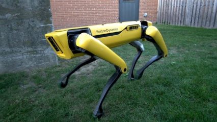 The Boston Dynamics Spot Mini Four Legged Robot is Trending #1 For Good Reason