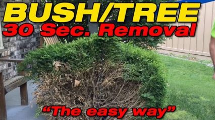 This Could be the Best Way to Remove Shrubs Ever, Especially for Gearheads!