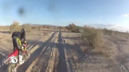 Insane Motocross Battle Honda vs Kawasaki in the Desert