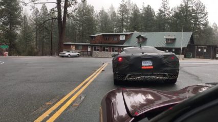 Corvette Enthusiasts Catches the Mid-Engine C8 in the Wild, Grabs a Video