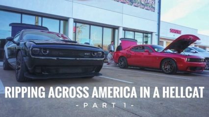 Picking Up The Cheapest Hellcat in America – Meet Cheap-O-Kitty!