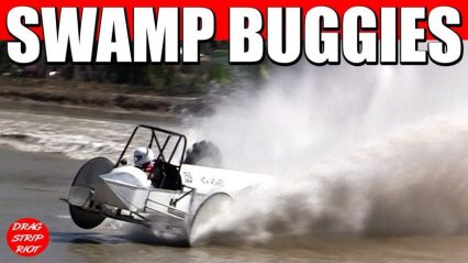 Swamp Buggy Racing Naples Florida Sports Park Mud Motorsports