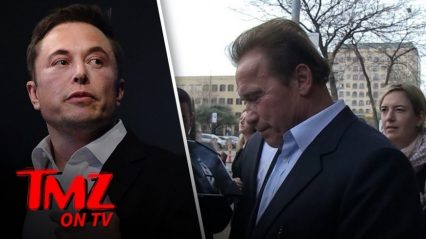 Arnold Schwarzenegger Calls Out Elon Musk Over Tesla Model 3