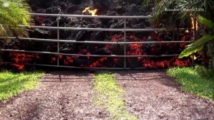 Hawaii Lava Flow Destroys Ford Mustang… So Slow It Can’t Get Out of The way!