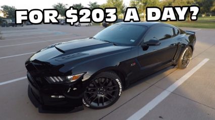 Renting a 1200HP Mustang For $200 a Day?