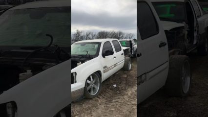Cartel Truck Found in a Junkyard – Never Know What You’re Going to Find