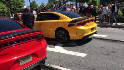 Dodge Chargers Do Massive Burnout in Front of Cops, Car Meet Organizer Gets in Their Faces