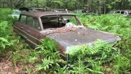 35 Years After a Hoarder Passes Away, His Abandoned Classic Cars Remain