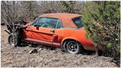 “Little Red” ’67 Shelby GT500 Ford Mustang Has Been Found After 50 Years. Could Be Worth Millions!