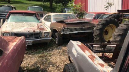 Massive Musclecar Barn Find Cars And Parts Hoard Found In Iowa