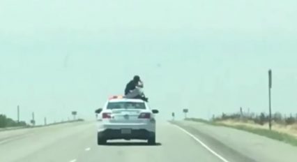 Man Breaks Out Of Back Of Cop Car, Sits On It As It Rolls Down Highway