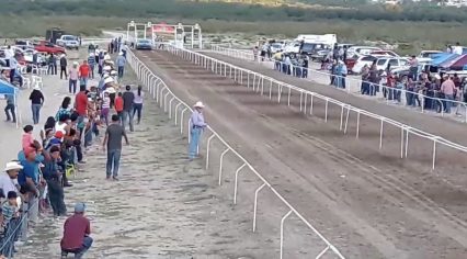 Real Live Horse Takes On Camaro In Off-Road Drag Race