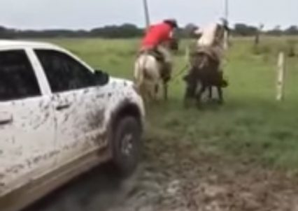 Truck Gets Super Stuck, Pulled Out By Horse!