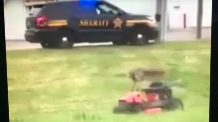 Greatest Prank EVER – Remote Control Lawn Mower – Cops Show Up