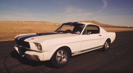 Beating On A Classic Shelby GT350 At The Track, Every Mustang Lover’s Dream Come True