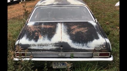 Yard Full Of Classic Chevrolet Muscle Cars Discovered!
