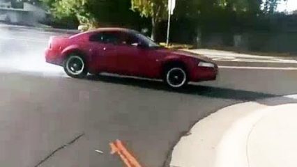 V6 Mustang Tries Doing Intersection Donuts, Eats a Tree Instead
