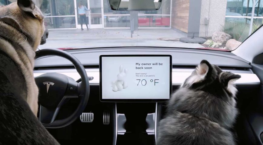 Tesla Introduces "Dog Mode" Leaving Furry Friends In The Car On Summer Days.