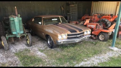 1970 Chevelle Parked in Open Barn For 35 Years