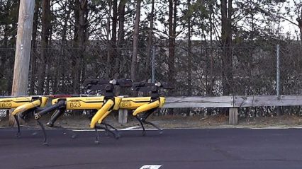 Robotic Dog Sled Team is as Cool as it is Creepy