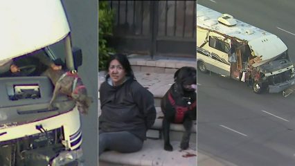 Woman in an RV Leads Police Chase With a Dog in Her Lap Trying to Escape