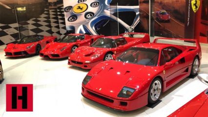 Browse Through a Massive Car Collection, With 0 Miles On The Clock.
