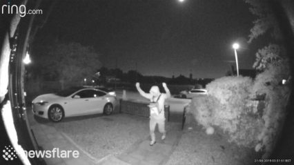 Took Thieves 30 Seconds To Convince A Tesla They Had The Key to Steal It