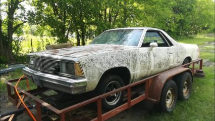 1981 El Camino Left on a Trailer for 21 Years Dragged From The Grave
