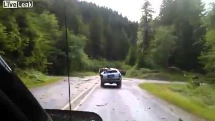 How Tough is a Toyota? Crushed By A Tree But Still Driving Home!