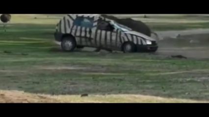 Rhino Bullies Zookeeper’s Car in Terrifying Incident