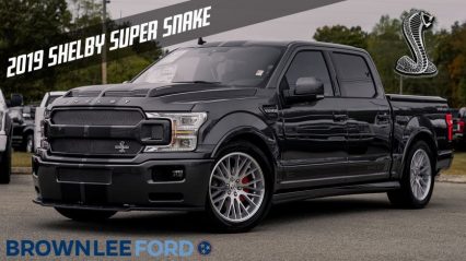 This Shelby Super Snake F-150 is Packing 755 Horsepower