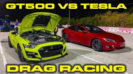 Shelby GT500 Takes on Tesla Model S Performance in Combustion vs Electric Battle