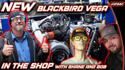 Where’s Shane now? Behind the Scenes With Shane, Bob, and the NEW Blackbird Vega! (BONUS: Story of Bob)