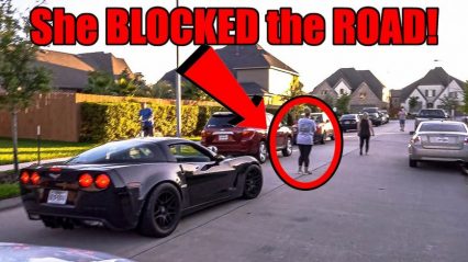Angry Woman Tries to Stop Drive By Car Show For Kid’s Birthday *Arrests Made*