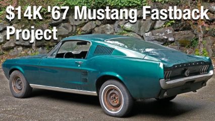 How Good Could a $14k Sight-Unseen Mustang Fastback Project Actually Be?