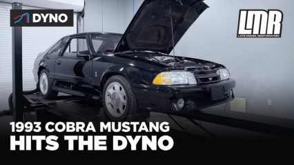 How Much Power Does a STOCK 93 Mustang Cobra Make Years Later? Dyno Doesn’t Lie!