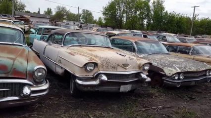 Massive Lot of 200 Deteriorating Classic Cars Liquidated – There Are Some Real Survivors Here!