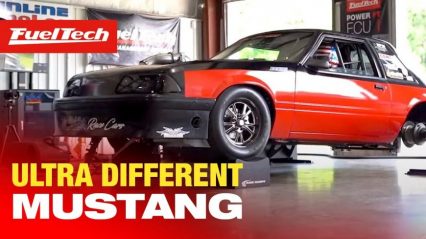 Wait, That Isn’t a V8! High Horsepower Mustang Screams on the Dyno With an Odd Combo