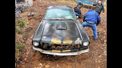 1966 Shelby GT350H Recovered After Sinking Into Ohio Backyard for 40 Years