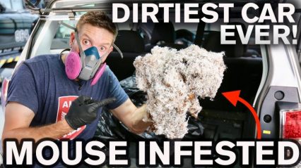 Automotive Detailer Gets His Hands on Grimy, Mouse Infested Subaru and Makes it New Again!