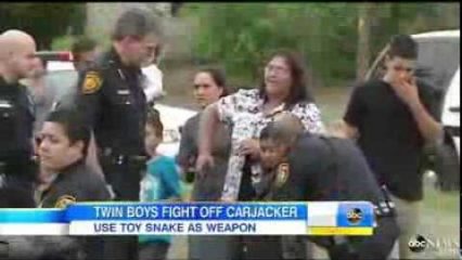 Seven Year Old Twins Beat up Car Jacker, Annoy Him Until he Bails