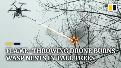China is Using Flamethrowing Drones to Fight Off Wasp Invasion