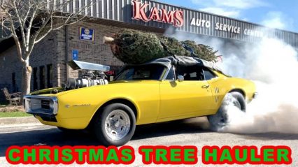 Hauling Mom’s Christmas Tree In Pro Street ’69 Firebird